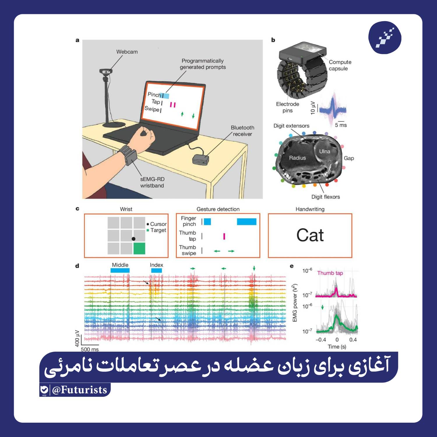 پوست دوم انسان؛ آغازی برای زبان عضله در عصر تعاملات نامرئی پوست دوم انسان؛ آغازی برای زبان عضله در عصر تعاملات نامرئی